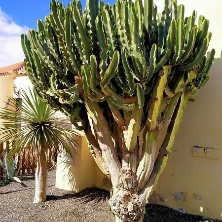 Ferienhaus Casa Alma Caleta De Fuste