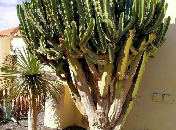 Casa vacanze Casa Alma Caleta De Fuste