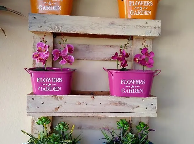 Casa vacanze Casa Alma *